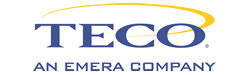 Security Director large Florida, TECO Emera